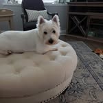 Jane Triplett - @jane.triplett.9 - Instagram