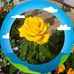 Jan Trojanowski - Facebook