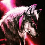 jan_turk - @janturk999 - Instagram
