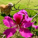 Jan Tuttle Hodgson - @jan386 - Instagram