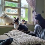 Jan Tuttle West - @jantuttlewest - Instagram