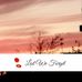 Jane Tuttle - Facebook