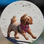 jan_tyson - @jan_tyson.7 - Instagram