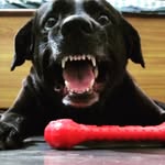 Tyson - @tyson__jan18 - Instagram