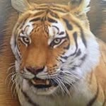 Jan Uhlir - @januhlir - Instagram
