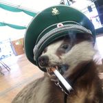 Jan Ulrich - @jan_ulrich_dachser - Instagram