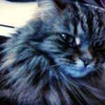 Jan Underhill - @jan.underhill - Instagram