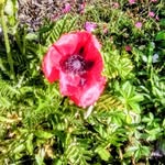 Jan Underhill - @underhill9534 - Instagram