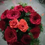Sheri Janu - @janusheri - Instagram