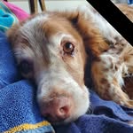 Jan Caldwell VanBlarcom - @janmvb - Instagram