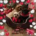 Janice Van Blarcom - Facebook