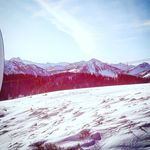 Jan Vaughan - @janvaughan246 - Instagram