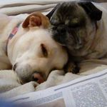 Jan Vaughan - @jan.vaughan.53 - Instagram