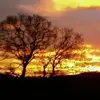 Jan Vaughan - @jan.vaughan5 - TikTok