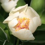 Jan Vaughan - @jan.vaughan.773 - Instagram