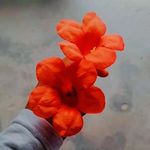 dil_ di_queen👸 - @janvi_gill__365 - Instagram