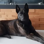 Jan Volkers - @jan.volkers.77 - Instagram