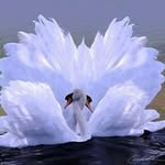 Jan Tinie Vos - @jan.vos.75470 - Instagram