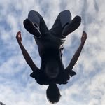 Jan Vos - @jan_flipzz - Instagram