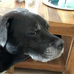Jan Vos - @janvos72 - Instagram