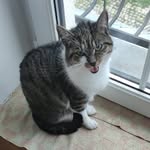 Jan Vostrčil - @janvostrcil - Instagram