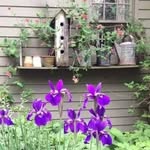 Jan Voth Kuipers - @kuipers_janice - Instagram