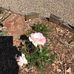 Jan Waite - Facebook