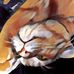 Jan Waite - Facebook