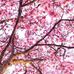 Jan Waite - Facebook