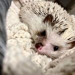 Jane Wakefield - @janeawakefield - Instagram