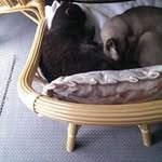 Jan Walsh - @janwalsh1970 - Instagram