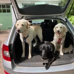 Jan Walsh - @jan.walsh.71 - Instagram