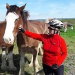 Jan Walsh - @aandjwalsh - Instagram