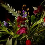 Jan Weaver - Facebook
