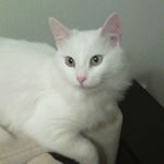 Jan Welch - @janwelch4095 - Instagram