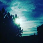 Jan Wenzel - @jan_200415 - Instagram