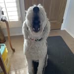 Jan Werth - @janwerth - Instagram