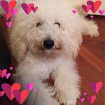 Jan Westcott - Facebook