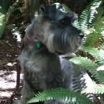 Jan Weston - @jan.weston.315 - Instagram
