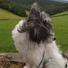 janweston2 - @janweston2 - TikTok