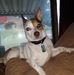 Jan Whalen - Facebook