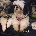 Jan. Whalen - @jan._whalen - Instagram