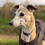 Jan Wheatfill - @janwheatfill - Instagram