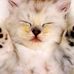 Jan Wheatley - Facebook