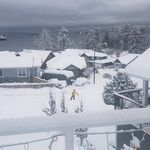 Jan Whitehead - @janw9 - Instagram