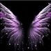 Janet Whiteman - Facebook