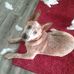 Jan Whiting - Facebook