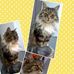 Jan Whiting - Facebook