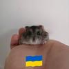 Jane Whiting - @jane.whiting - TikTok