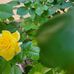 Jan Whitley - Facebook
